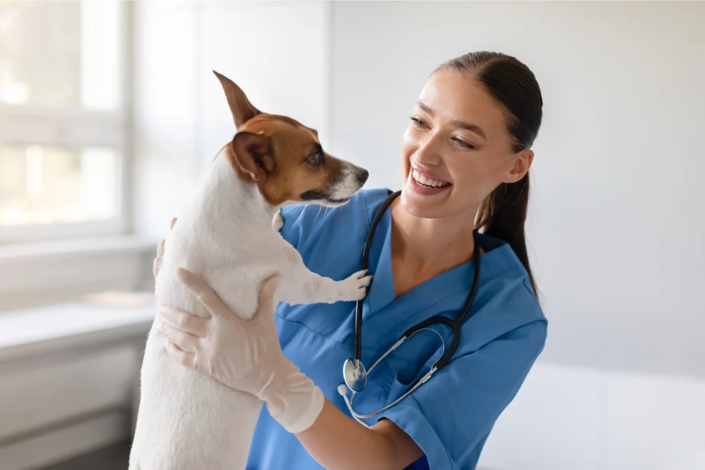Curso de auxiliar de veterinário: como iniciar na área e ter emprego